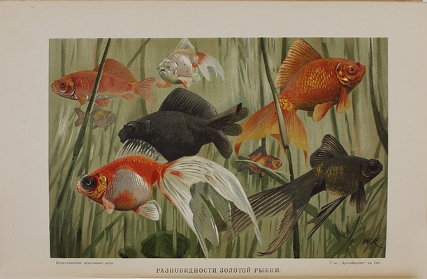 Полный комплект книг серии «Вся природа»: